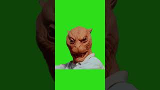 WTF CAT-MAN MORPH 😼​🥴​🐯​​🟩​​​ | #VCRChroma | #Sleepwalkers #GreenScreen #morphing #VCR