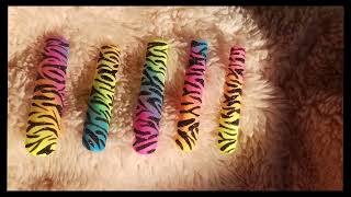 Watch me :RainBow Ombre Zebra Print Extendo Nails