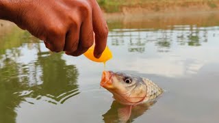 Unique Fishing With Mango Juice | Fishing With Juice & Catch Fish From Pond | Unique Fishing trap