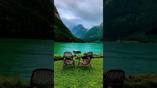 Nature ❤️💚 #video #live #reels #shorts #viral #viralvideo #viralshorts #love #like #new #nature #yt