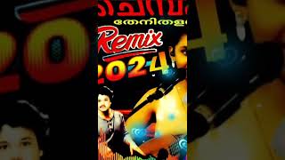 Chembakapoo Thenithal Adharam / Latest Golden Remix 2024 / ആര്യ ധയാൽ ആലപിച്ച അടിപൊളി പാട്ട്.