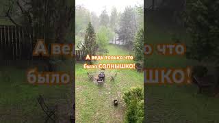 И тут погода изменилась… #shorts #vlog #spring #ливень #Rain #дождь