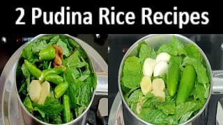 Easy Lunch Box Recipes | How To Make Tasty 2 Pudina Rice Recipes