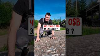 OSB плита спустя полгода #строительство #diy #дом #дача #советы #дерево #стройка #woodworking #опыт