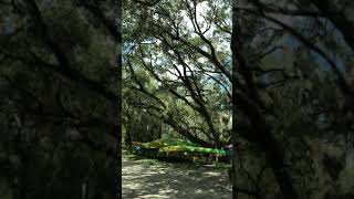 Canoeing ￼Little Manatee River