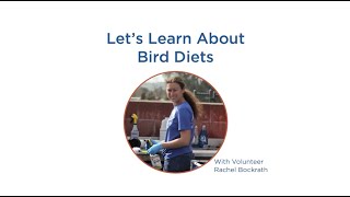 Kids Corner: Let's Learn about Bird Diets