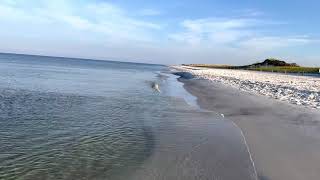 Red Tide Update for Cape San Blas