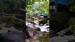 Waterfalls #waterfall #airterjunterindah #mataairpegunungan #curug #airterjun