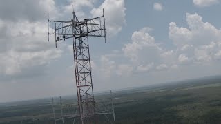 Birds on a tower