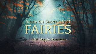 Book Trailer: Inside the Secret Lives of Fairies