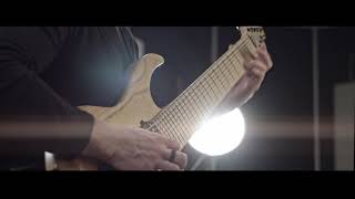 Animals As Leaders - Tempting time Cover (Endvade)