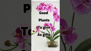 Good plants to give as gifts #plants