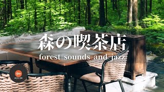 Ambient sounds + JAZZ Gentle Forest sounds Relaxing work/study CAFE MUSIC - BGM for work☕