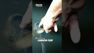 Memancing Sambaran Fajar #shots #ikan #kaloi #ikankaloi #strike