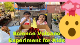 Science Volcano Experiment for Kids  Part I using Vinegar and Baking Soda 👍👍#DiYVolcano#Scientists