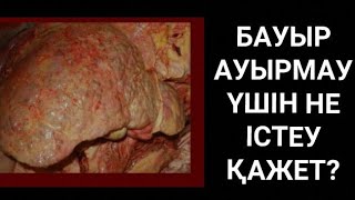 Бауыр ауырганда не ишу керек бауыр неге ауырады бауыр неден ауырады өт толғанда не істеу керек