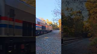 Awesome, Amtrak & Yellow Leaves! Train #235 Cruises Through Dutchess County, NY!