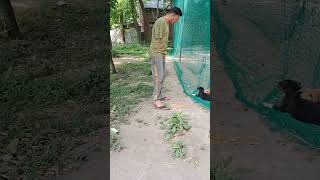 #viral #surykumar Amir Hussain Lone#cricket