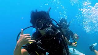 Diving The Gulf of Thailand | Hin Yai & Hin Chalam | Pattaya Scuba Adventures