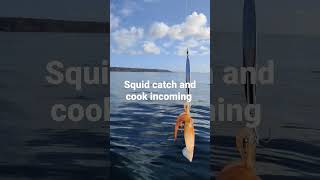 how to cook squid. catch and cook