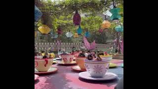 Spinning into a Fairy Tale: Mad Tea Party at Fantasyland #disneyland #teacups #aliceinwonderland