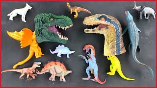 🔴Dinosaurus Jurassic world dominion: Mosasaurus, kingkong, kinggidorah, rodan, sirenhead, indoraptor