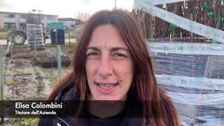 Vivai Colombini - Progetto Barbatelle - AIDA