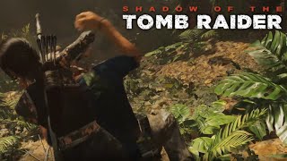 Stealth Kills | Shadow of the Tomb Raider