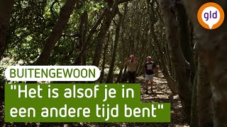 Aan deze beek dankt landgoed Mariëndaal haar naam | BuitenGewoon