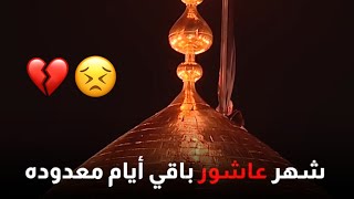 شهر عاشور باقي أيام معدوده | ستوریات انستا حالات واتساب | سيد علي الموسوي | 2020