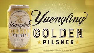 Golden Pilsner 4.7% ABV - SwillinGrog Beer Review