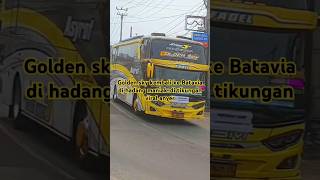 BUS telolet vira🎺#Duo MSM asyrof Goldensky"Batavia#Shorts#di hadang mania di tikungan viral anyer