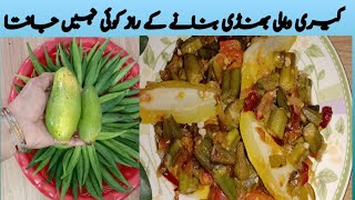 Bhindi ki bhujya Recipe ll How To Make Okra bhujiya Recipe ll bhindi fry recipe