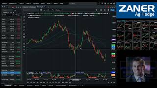 SOTD - Ag Market Update - Cotton Futures 11/3/2022