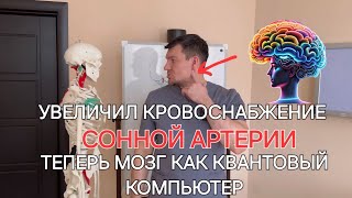 Эта точка усиливает кровоснабжение мозга в 17 тысяч раз. Убери спазм сонной артерии и стань гением