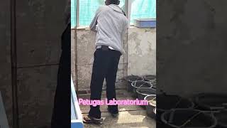 petugas laboratorium#tanamanpadi #tanamanpadi #hamapadi