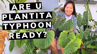 PLANTITA STRUGGLES FOR TYPHOON PREPARATION 😲 | Philippines