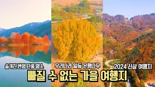 10월 단풍 은행 추천 국내 여행 빠질 수 없는 가을 여행 추천 BEST #국내여행 #여행추천