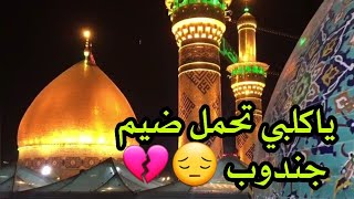 حلمي جان 🥺💔| مسلم الوائلي | حالات واتس اب حزينه 💔| بدون حقوق جديد