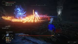 ELDEN RING Ertree Burial Watchdog Boss Fight