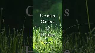 Green Grass of Home #healingmusic #nature #stressrelief #mindrelaxing #relaxingmusic #relaxing