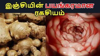 99% பேர் இஞ்சி சாப்பிடுவதில் செய்யும் தவறை நீங்கள் செய்யாதீர்கள்! உங்கள் உயிருக்கு ஆபத்து #ginger