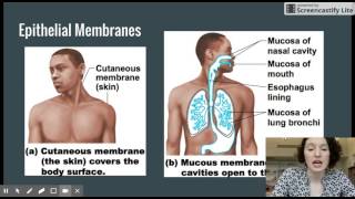 Basic Body Membranes