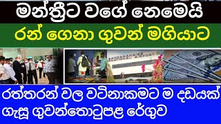 😭රත්තරන් වලට රත්තරන් දඩයක්😭🔴රත්තරන් ගෙනා ගුවන් මඟියාට ගැසූ දඩමුදල ඇසූවිට දෙලොව රත්වෙයි/