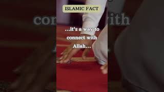 "Why Muslims Pray 5 Times a Day: The Real Purpose Behind Salah!"