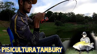 Só Peixe Bruto - Noturna no Pesqueiro Tambury