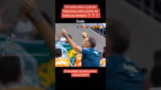 Esse gol do Dudu seria o mais bonito de todos os tempos do Palmeiras?? ou tem outros?? #palmeiras