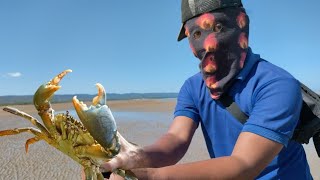 MENANGKAP IKAN, KEPITING, DAN BERMACAM2 SIPUT DI LAUT