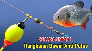 SOLUSI AMPUH! Rangkaian pancing ikan Bawal Anti putus