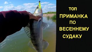 РУКИ УСТАЛИ ТАСКАТЬ СУДАКА. РЫБАЛКА НА СПИННИНГ С БЕРЕГА. ДЖИГ И МИКРОДЖИГ #джиг #микроджиг